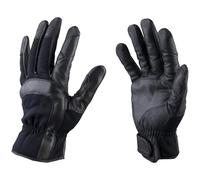 Kupo Fond Papier Disque Lot Kg0844118