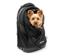 Kurgo – Sac à dos de transport G-Train – Pour petits chiens et chats, fond étanche – Noir