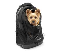 Kurgo G-Train Sac à Dos de Transport pour Petits Chiens et Chats, Sac de Voyage et Randonnée avec Fond étanche, Noir