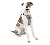 Kurgo Harnais pour Chien | Harnais de Marche pour Animal Domestique | Clip Avant pour l'entraînement Inclus | Ceinture de sécurité Auto | Style Tru-Fit à libération Rapide | Taille M | Gris