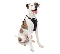 Kurgo Harnais pour Chien Tru-Fit, Accessoire Chien pour la Promenade, Clip Avant pour entraîner Son Chien à ne Pas Tirer & Ceinture de sécurité pour Voiture, Noir, M