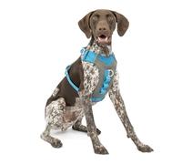 Kurgo Harnais pour Chiens Journey Air, pour la randonnée, Courir et Marcher Tous Les Jours, réfléchissant - Bleu/Gris - Taille M