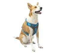 Kurgo Journey (TM) Chiens Course à Pied Harnais, Chien Marche Harnais, Chien randonnée Harnais, Harnais pour Chien, Large, Grey/Blue (2018)