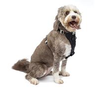Kurgo Harnais Tru-Fit Pour Chien, Testé pour les Chocs, Anneau en D Avant pour un Entraînement Sans Traction, Ceinture De Sécurité Pour Voiture incluse, Noir, XL