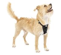 TRU-FIT™ Harnais de sécurité pour chien - Noir - Taille XS