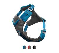 Harnais pour chien Kurgo Journey Air Bleu MD