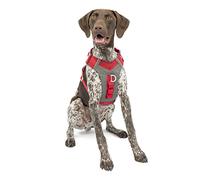 Kurgo Journey Air Harnais, Moyen, Rouge | Bruststück gepolstert, leichte Ripstop, atmungsaktiv, reflektierend