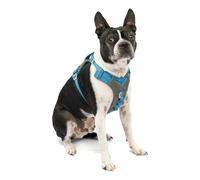Kurgo Harnais pour chien Journey (TM) Course à pied, marche, randonnée Small Gris/Bleu (2018)