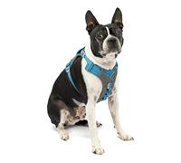 Kurgo Journey (TM) Chiens Course à Pied Harnais, Chien Marche Harnais, Chien randonnée Harnais, Harnais pour Chien, Small, Grey/Blue (2018)