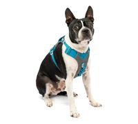 Kurgo Journey (TM) Chiens Course à Pied Harnais, Chien Marche Harnais, Chien randonnée Harnais, Harnais pour Chien, Small, Grey/Blue (2018)