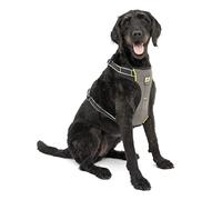 Kurgo K01731 Harnais de Sécurité pour la Voiture Universel avec Anneaux Intégrés Convient pour Chien de Grande Taille Ajustable Gris Charbon Taille L