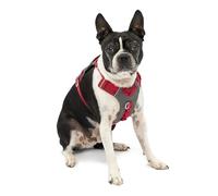 Kurgo K01938 Harnais pour Chien Petits/Moyens/Grands Réfléchissant pour Le Footing la Marche/la Randonnée Journey Air Style