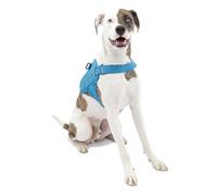Kurgo K01974 Harnais de Sécurité pour Chien Canicross Compatible Molle Urbain Rsg Bleu/Noir pour Les Petits Moyens/Grands Chien
