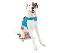 Kurgo K01974 Harnais de Sécurité pour Chien Canicross Compatible Molle Urbain Rsg Bleu/Noir pour Les Petits Moyens/Grands Chien