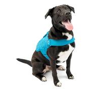 Kurgo K01975 Harnais de Sécurité pour Chien Canicross Compatible Molle Urbain Rsg Bleu/Noir pour Les Petits Moyens/Grands Chien