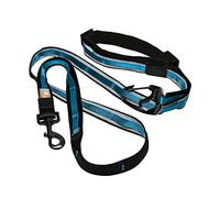 Kurgo Laisse Mains Libres Quantum 6 en 1 pour Chien, Ceinture/Laisse de Course, Marche ou randonnée, Réglable, Réfléchissante, Bleu/Noir