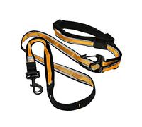 Kurgo Laisse Mains Libres Quantum 6 en 1 pour Chien, Ceinture/Laisse de Course, Marche ou randonnée, Réglable, Réfléchissante, Orange/Noir