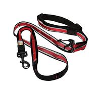 Kurgo Laisse Mains Libres Quantum 6 en 1 pour Chien, Ceinture/Laisse de course, marche ou randonnée, Réglable, Réfléchissante, framboise/noir