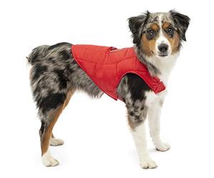 Kurgo Loft Veste Réversible, Petit, Rouge Piment