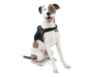 Kurgo Molle Harnais pour Chien Compatible avec Clip Molle Vest pour Chien, Gilet de Service pour Chien, Gilet de Sauvetage, Harnais pour Chien Rsg Townie, pour Chiens de Petite, Harnais, Medium