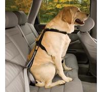 Kurgo Seatbelt Tether w/Carabiner Ceinture de voiture Affranchissement Noir
