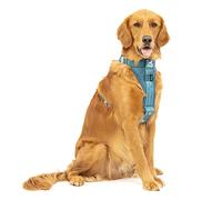 Kurgo Tru-Fit Harnais de sécurité pour Voiture pour Chiens, avec Plastron rembourré et Anneau en D, avec Ceinture de sécurité pour Voiture, Taille L, Bleu Encre