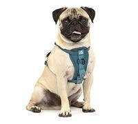 Kurgo Tru-Fit Harnais de sécurité pour Voiture pour Chiens, avec Plastron rembourré et Anneau en D, avec Ceinture de sécurité pour Voiture, Taille S, Bleu Encre