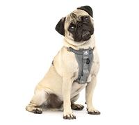 Kurgo Tru-Fit Harnais de sécurité pour Voiture pour Chiens, avec Plastron rembourré et Anneau en D, avec Ceinture de sécurité pour Voiture, Taille S, Anthracite