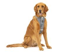 Kurgo Tru-Fit Harnais de sécurité pour Voiture pour Chiens, avec Plastron rembourré et Anneau en D, avec Ceinture de sécurité pour Voiture, Taille L, Anthracite