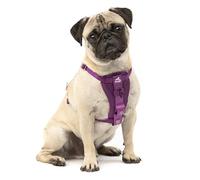 Kurgo Tru-Fit Harnais de sécurité pour Voiture pour Chiens, avec Plastron rembourré et Anneau en D, avec Ceinture de sécurité pour Voiture, Taille S, Violet
