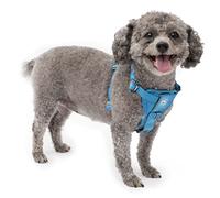 Kurgo Tru-Fit Harnais Intelligent pour Chien avec Boucles à dégagement Rapide et Anneau en D sur Le Devant pour Un Dressage sans Traction avec Attache de Ceinture de sécurité pour Chien Bleu Taille S