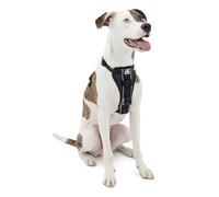 Kurgo Tru Fit Harnais pour Chien Actif Intelligent Boucles Ouverture Fermeture Facile Taille Medium
