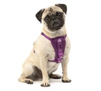 Kurgo Tru-Fit Renforcé Harnais Auto, Petit, Violet Profond | Certifié Crash, réglage à 5 points, poitrine rembourrée