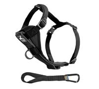 Kurgo Tru Fit Harnais pour Chien Actif Intelligent Boucles Ouverture Fermeture Facile