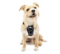 Kurgo Tru-Fit Smart Harnais de Marche, Petit, Noir | Ajustement confortable, réglable, réfléchissant, libération rapide de la sangle, boucle de ceinture de sécurité incluse