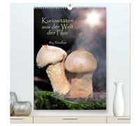 Kuriositäten aus der Welt der Pilze (hochwertiger Premium Wandkalender 2026 DIN A2 hoch), Kunstdruck in Hochglanz: Kuriose Pilze, bunt und seltsam, ... und wenig beachtet und dennoch faszinierend.