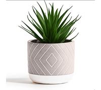 Kurrajong Farmhouse Belle Plante Artificielle en Pot de 20,3 x 11,4 cm | Plantes succulentes artificielles en Pot pour décoration d'intérieur