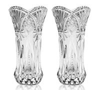 Kurtzy Vase Transparent en Cristal Clair (Lot de 2) - 24,5 cm - Vase en Verre Melodia Cylindrique Décoratif et Moderne pour Fleurs