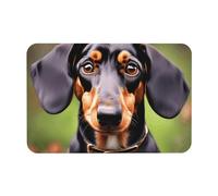 kurue Dachshund Weiner Tapis de bain antidérapant en caoutchouc absorbant Motif chiens