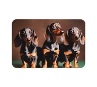 kurue Dachshund Weiner Tapis de bain antidérapant en caoutchouc absorbant pour sol de douche Motif diatomées