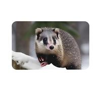 kurue Opossum in Snow Print Diatomaceous Tapis de bain Grand tapis de douche antidérapant à séchage rapide Tapis de sol salle de bain