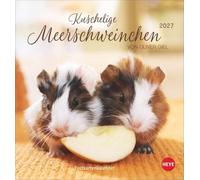 Kuschelige Meerschweinchen Postkartenkalender 2027: Kleiner Kalender mit Porträts der putzigen Nager. Jeden Monat eine neue Postkarte aus dem Fotokalender.