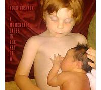 Kussack, Noah - A Momentary Lapse in. [Import]