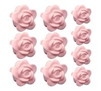Kustimantu Lot de 10 Pinces murales Invisibles en Forme de Fleur pour grimpantes - Outil de Traction - Fixateur de Vertes avec Une Forte