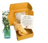 Kustimantu Petits ours en peluche dans une boîte - Jouet fait à la main avec carte inspirante pour enfants, bébé, mère, Saint-Valentin, baptême, remise de diplôme, Noël