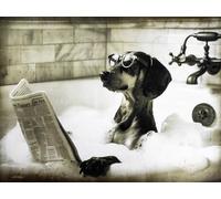 KUSTOM ART Poster mural décoratif série animaux décor toilette chien setter avec lunettes sur baignoire impression artistique sur papier couché 40 x 30 cm sans cadre