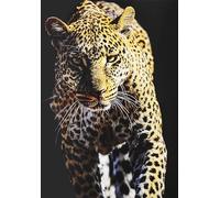 KUSTOM ART Poster mural décoratif série animaux léopard imprimé artistique sur papier couché 42 x 30 cm sans cadre