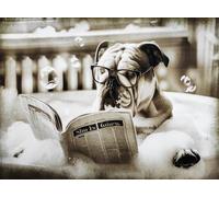 KUSTOM ART Poster mural décoratif série animaux meuble toilette chien boxer avec lunettes sur baignoire impression artistique sur papier couché 40 x 30 cm sans cadre