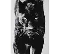 KUSTOM ART Poster mural décoratif Série Animaux Panthère Noire Impression d'art sur papier enduit 42 x 30 cm sans cadre