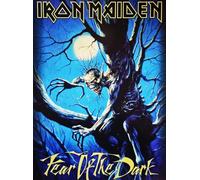 KUSTOM ART Poster mural décoratif série chanteurs célèbres Iron Maiden Album Fear of the Dark Impression sur papier couché 40 x 30 cm sans cadre